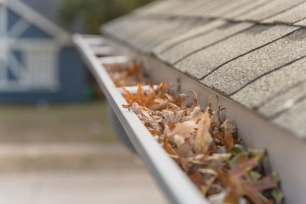 Leaf Barrier Installation in Plainfield