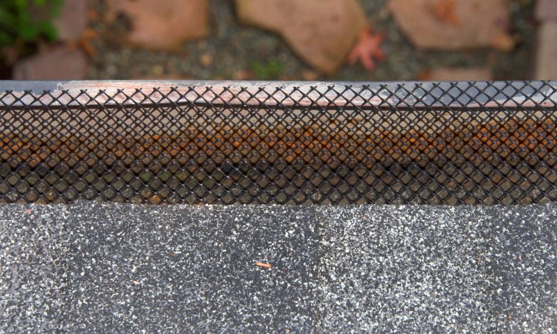 Gutter Mesh Installation